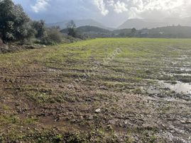 İzmir Kemalpaşa Halilbeylide Satılık Bahce - İZMİR KEMALPAŞA fotoğraf 2